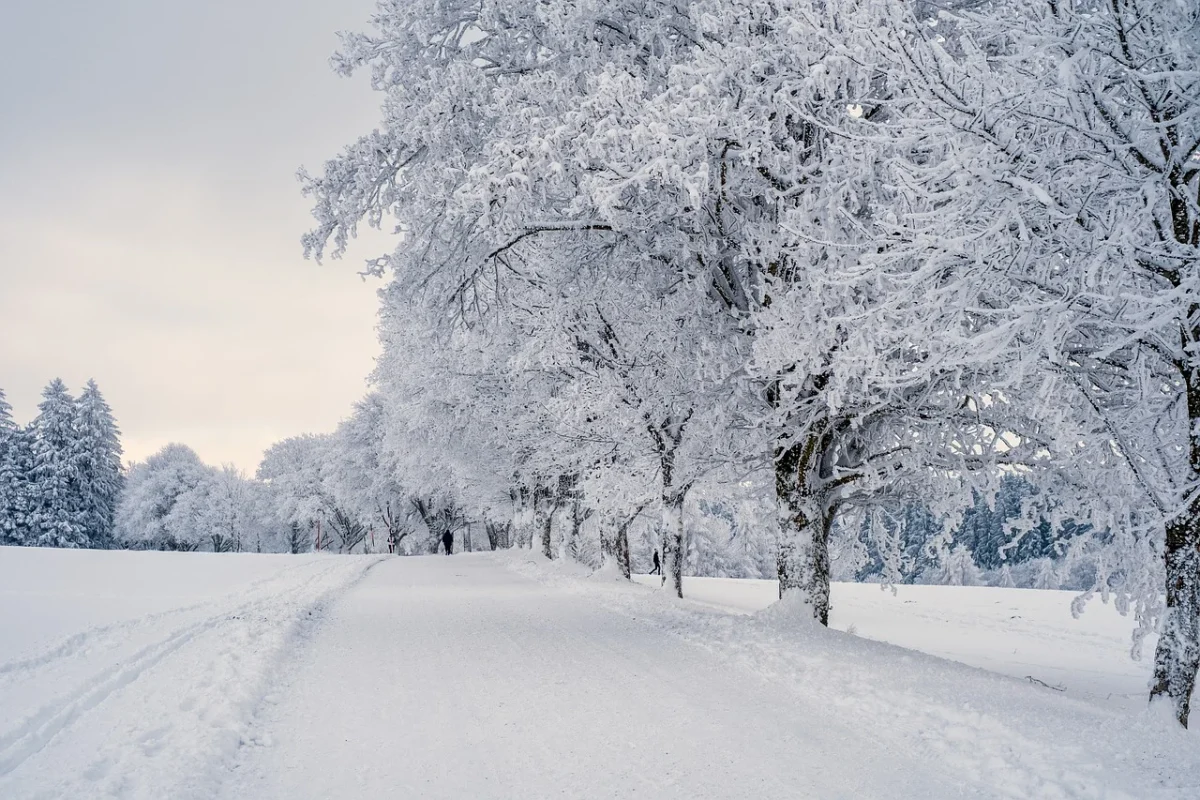 Val de aer polar în România. Se anunță ger cumplit