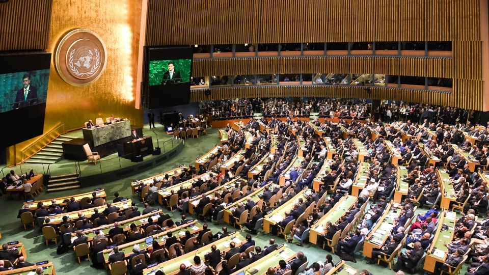 Adunarea Generală a ONU adoptă rezoluția europeană cu privire la Ucraina. SUA s-au opus