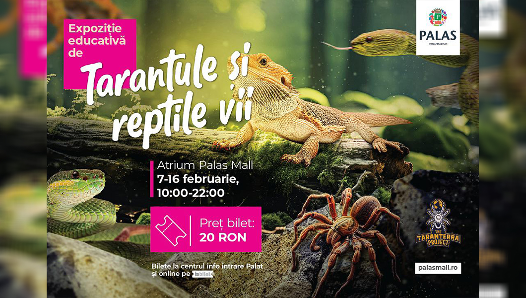 „Expoziția Educativă de Tarantule și Reptile Vii” revine la Palas cu exemplare noi și spectaculoase!