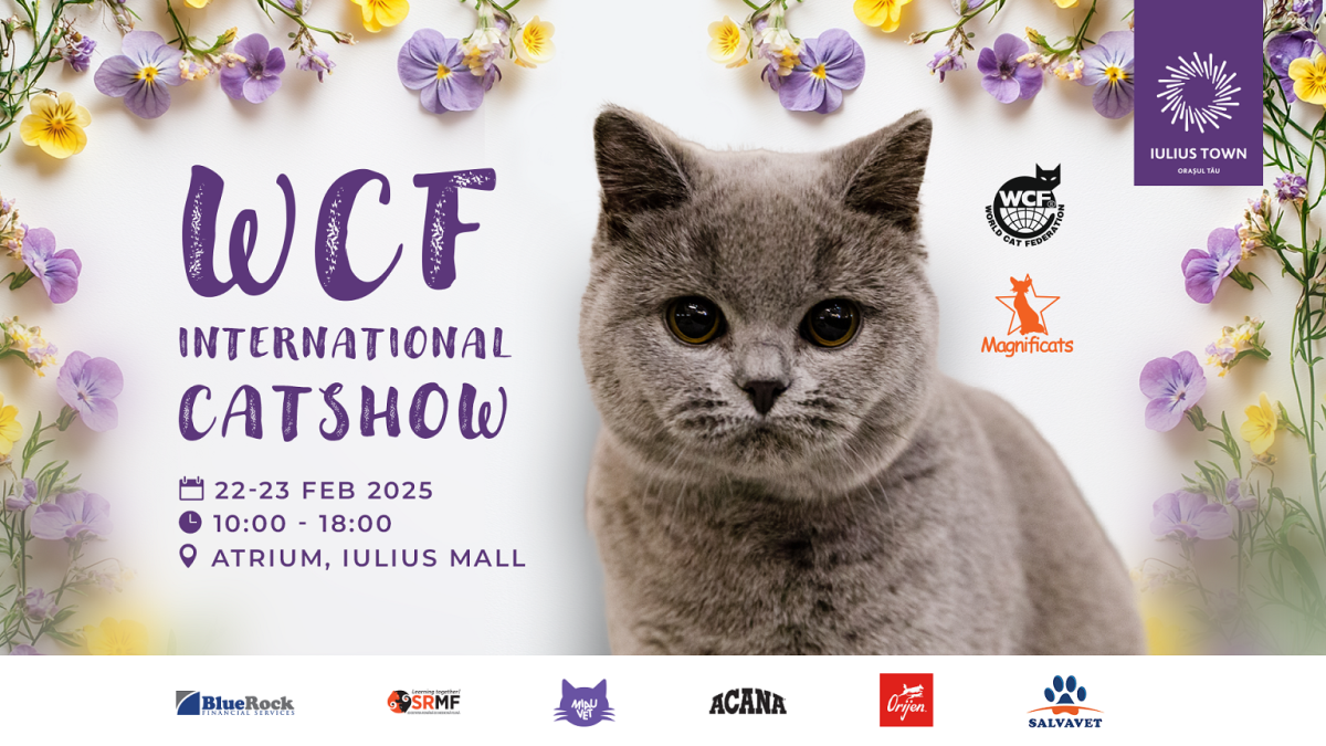 Competiția internațională dedicată pisicilor revine la Iulius Town: peste 200 de feline pot fi admirate în acest weekend