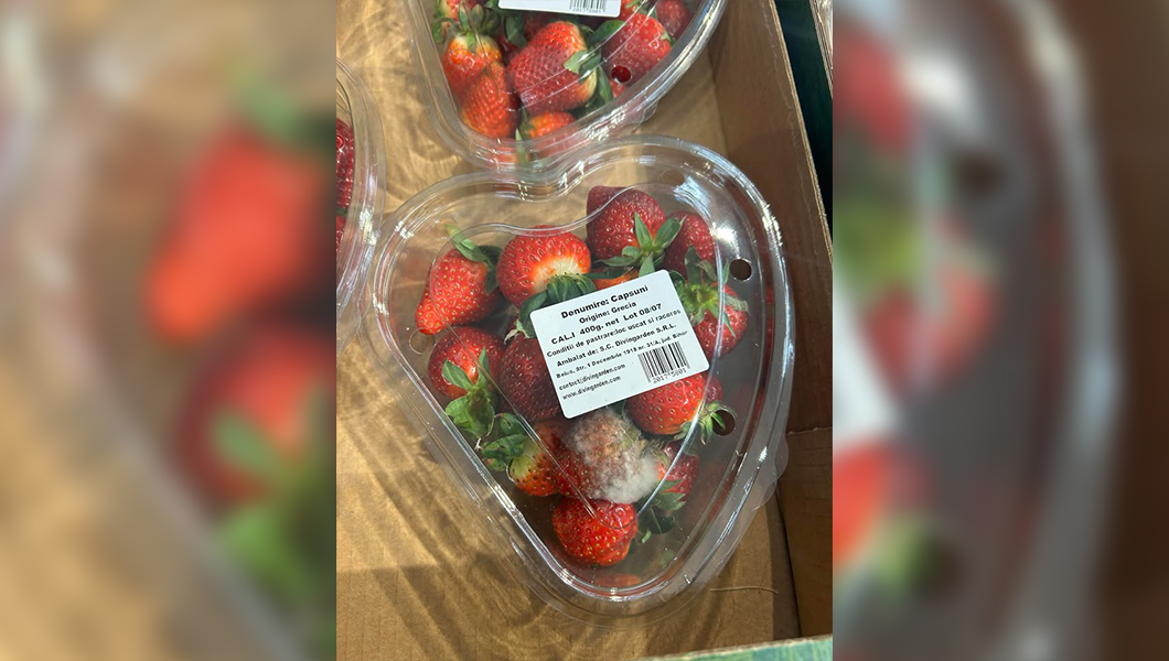 Caserole de căpșuni cu mucegai descoperite la Lidl Nicolina din Iași. Clienții cer măsuri mai stricte – UPDATE