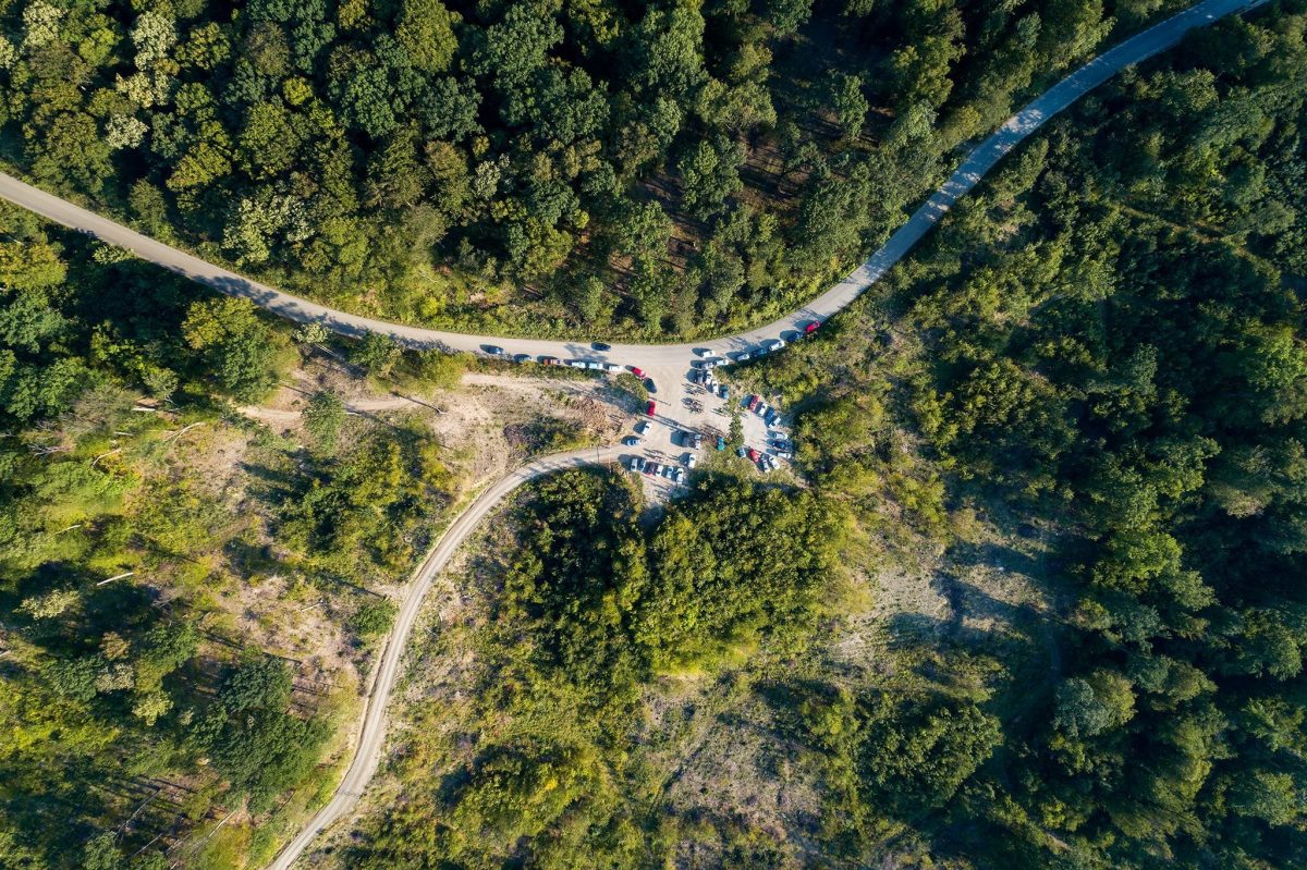 Comunitatea Codrii Iașilor sărbătorește 6 ani de la înființare prin diverse activități