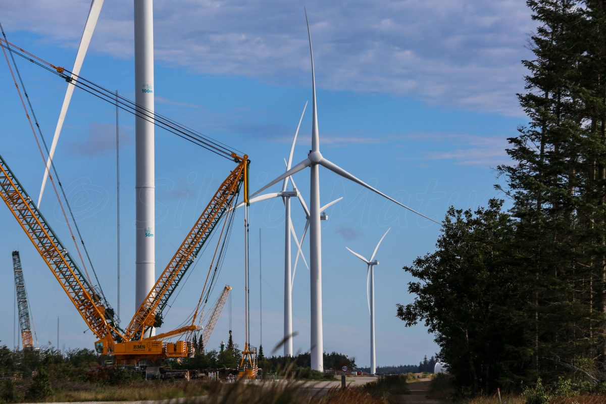 Compania gigant din România care își închide activitatea! Se ocupa cu furnizarea și întreținerea turbinelor eoliene