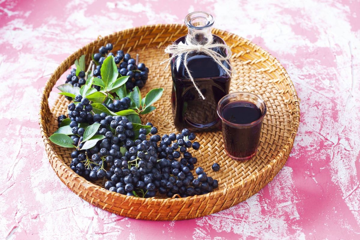 Cura cu suc de aronia. Doza zilnică de vitamine