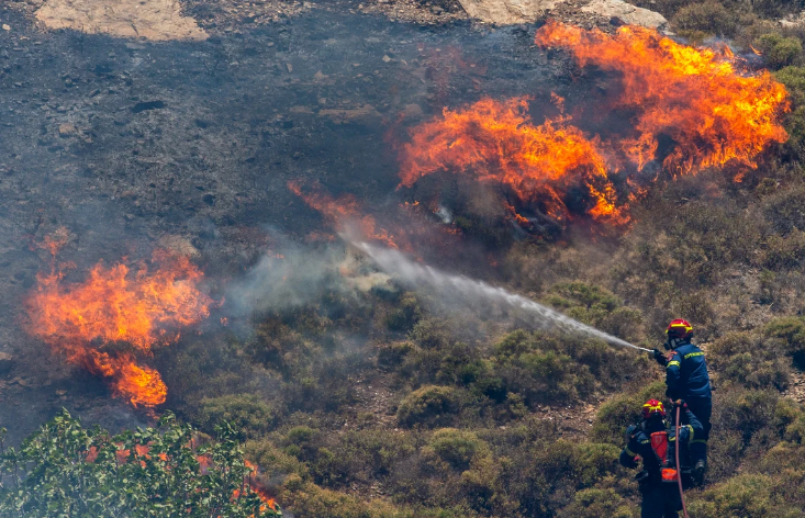 Atenție la incendiile de vegetație și din pădurile din Iași! Anual, începând cu luna martie, apar astfel de probleme