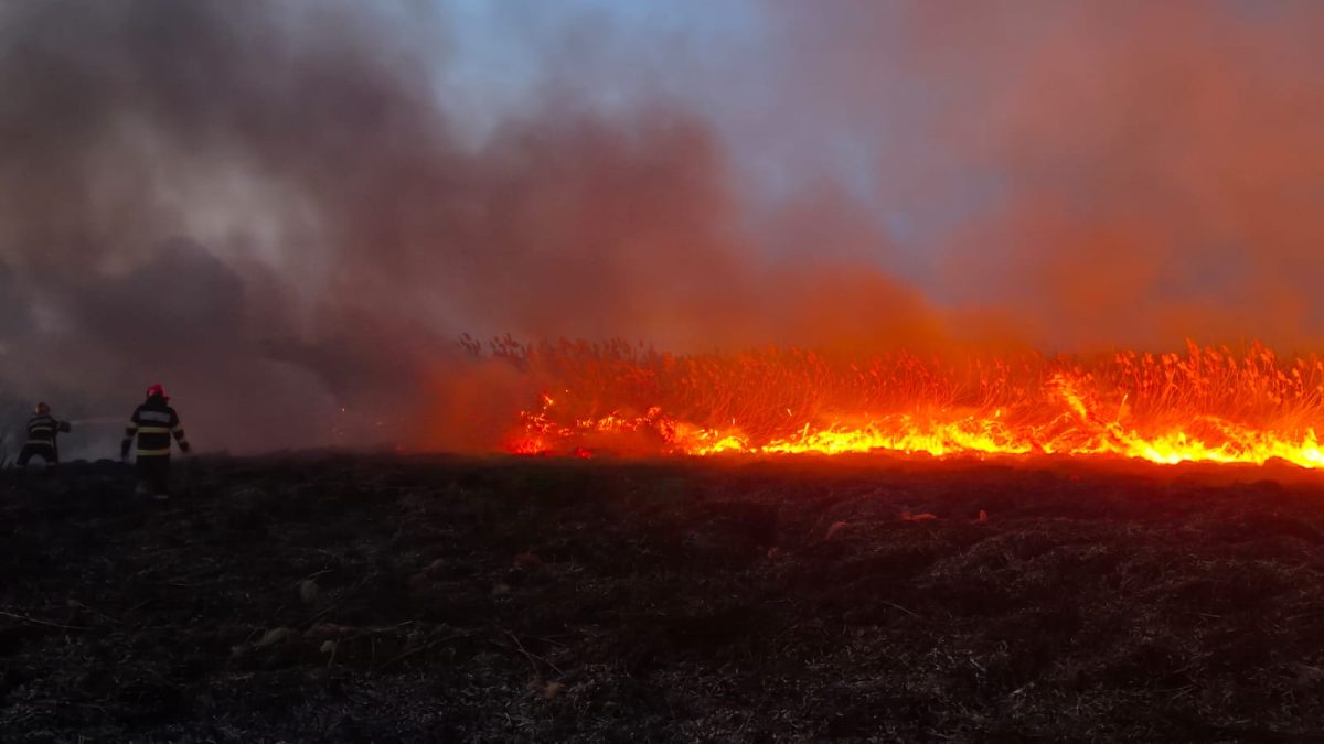 Incendiu de vegetație uscată în Voinești! Pompierii intervin