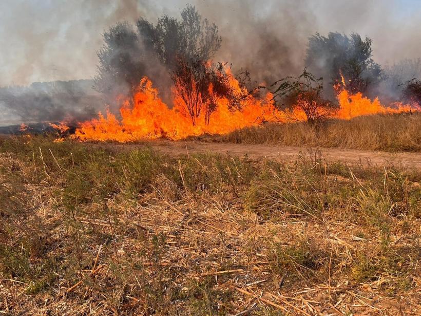 Incendiu de vegetație uscată în comuna Holboca. Pompierii intervin