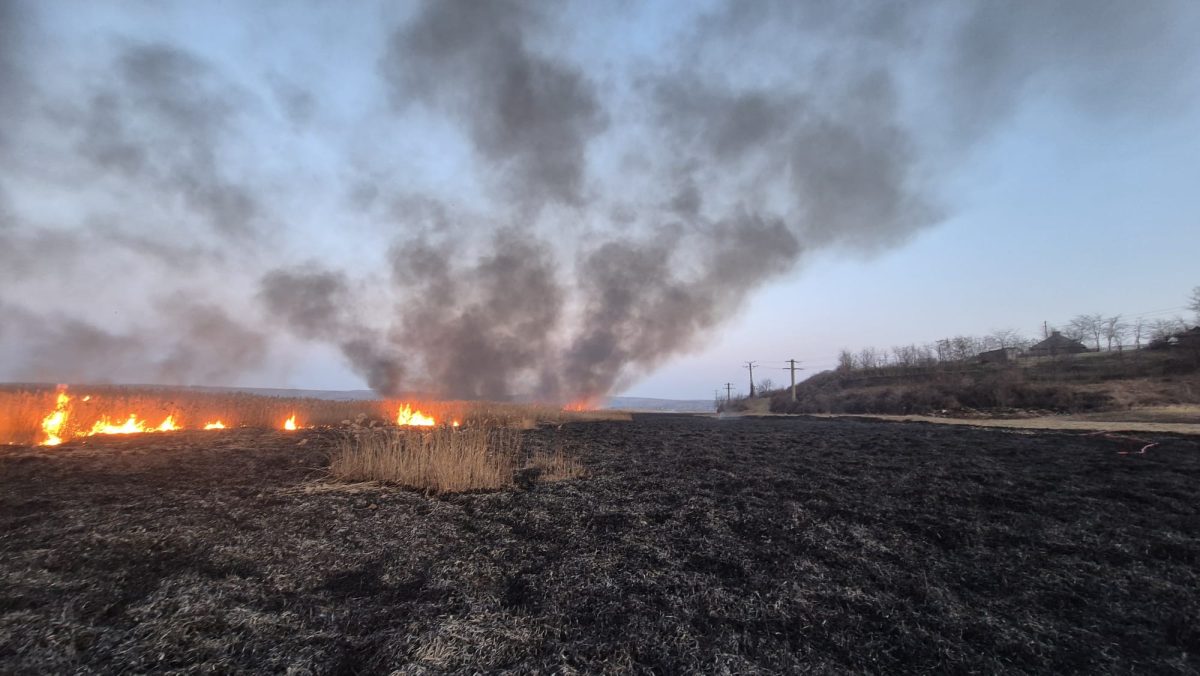 Incendiu de vegetație uscată în comuna Vlădeni. Pompierii intervin