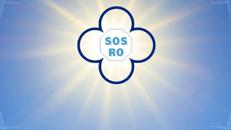 Senatorii Partidului S.O.S. România depun sesizare de neconstituționalitate privind Hotărârea Senatului nr. 5/3 februarie 2025