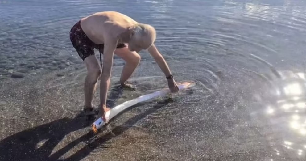Un pește vâslă extrem de rar, cunoscut pentru legăturile sale cu prezicerea unor dezastre naturale, a fost descoperit pe o plajă
