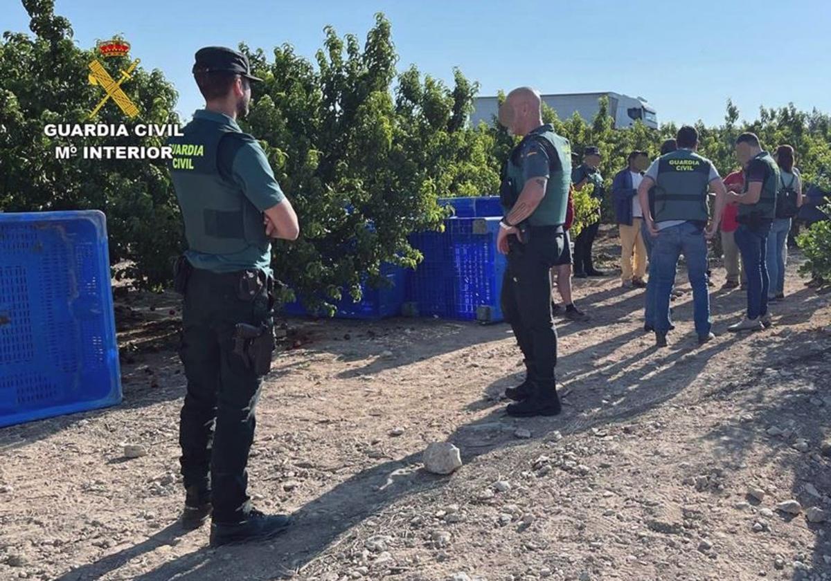 FADERE cere Guvernului să ia măsuri urgente, după ce 52 de români erau exploatați prin muncă în Spania
