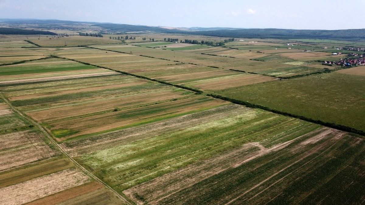 A scăzut numărul ofertelor pentru vânzarea terenurilor agricole din Iași. Proprietarii cer sume mai mari față de anii precedenți