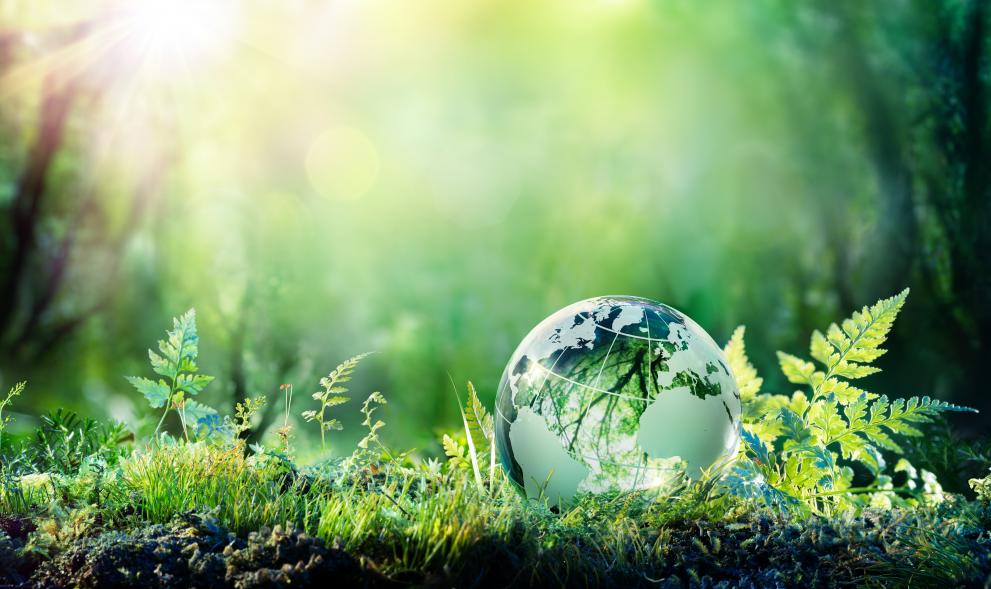 Fără să ceară permisiunea cetăţenilor, liderii europeni vor să le folosească economiile pentru tranziţia verde, scrie presa franceză