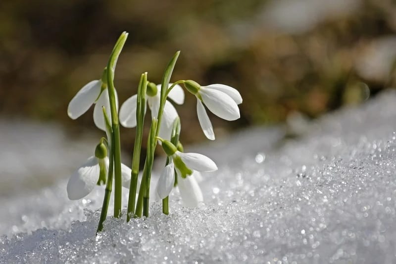 Vremea în România: Meteorologii anunță prognoza pentru luna februarie