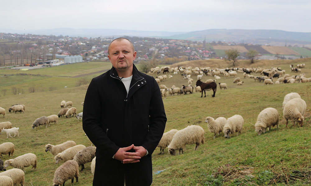 Un tânăr din Iași administrează o fermă mixtă cu succes. Alexandru Pașaniuc a muncit 10 ani în Italia. „Eu am făcut contract cu Doamne-Doamne că o să trăiesc 133 de ani”
