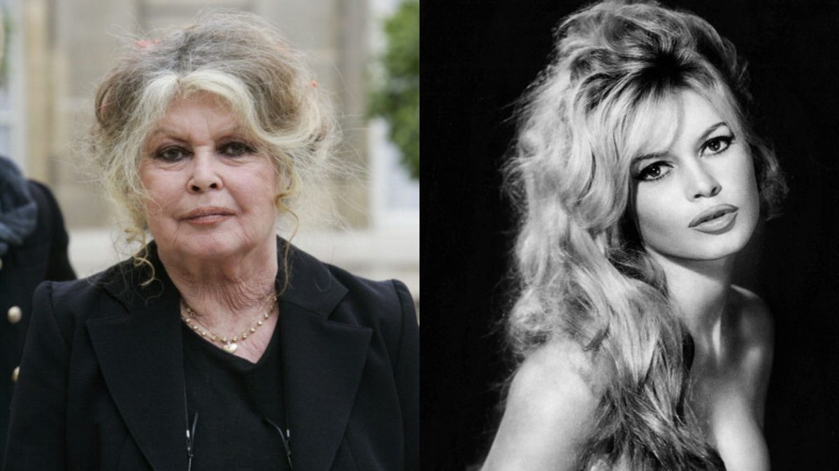 Brigitte Bardot, sfâșiată de durere: „Nu mai am pe nimeni!” Dezvăluiri șocante despre pierderea care a doborât-o