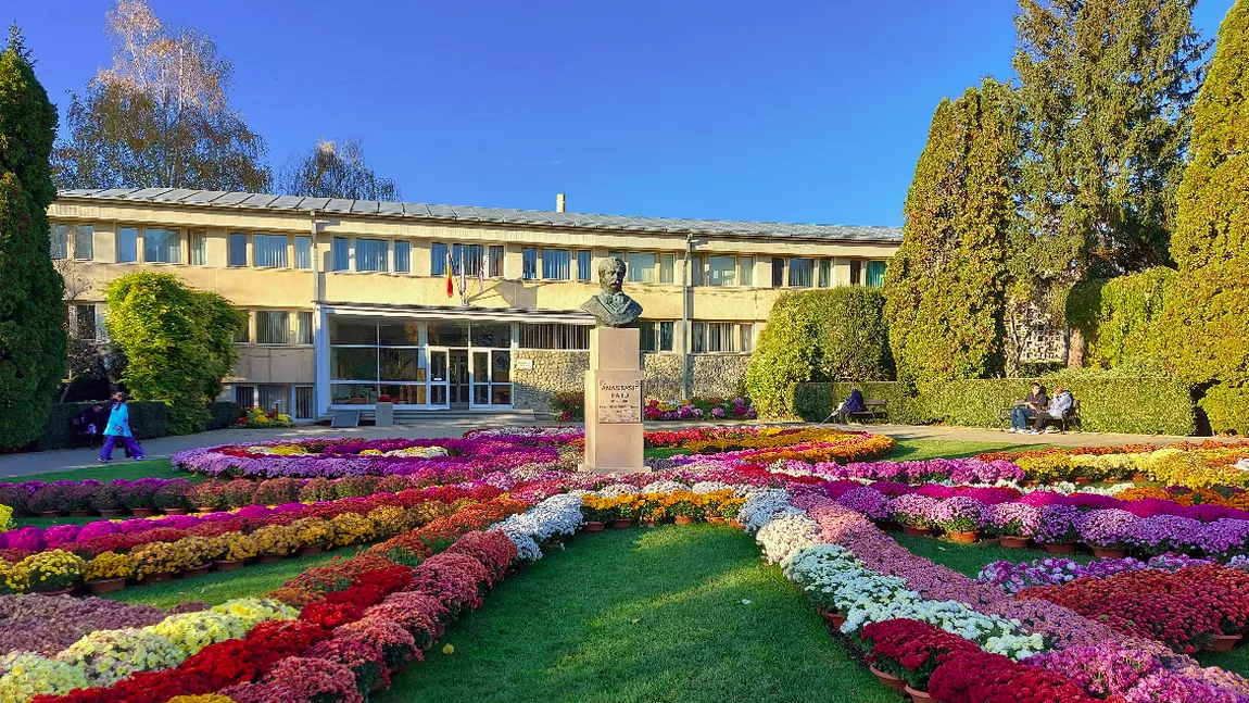 Cadou pentru doamnele și domnișoarele din Iași! Grădina Botanică poate fi vizitată gratuit de Ziua Femeii
