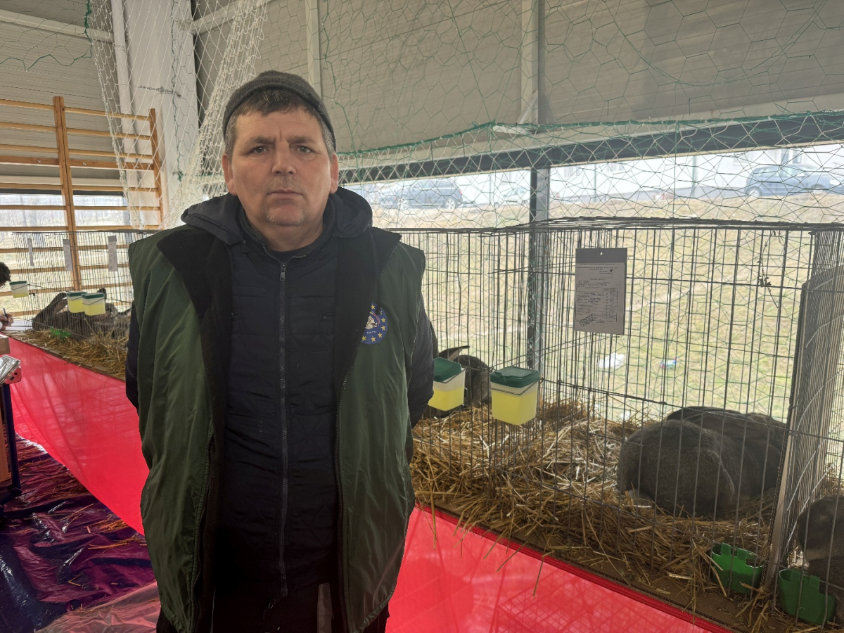 Vasile Maștaleru colecționează de 10 ani iepuri din rasa Uriașul German. Acesta a obținut titlul de vicecampion și campion național la concursurile de profil