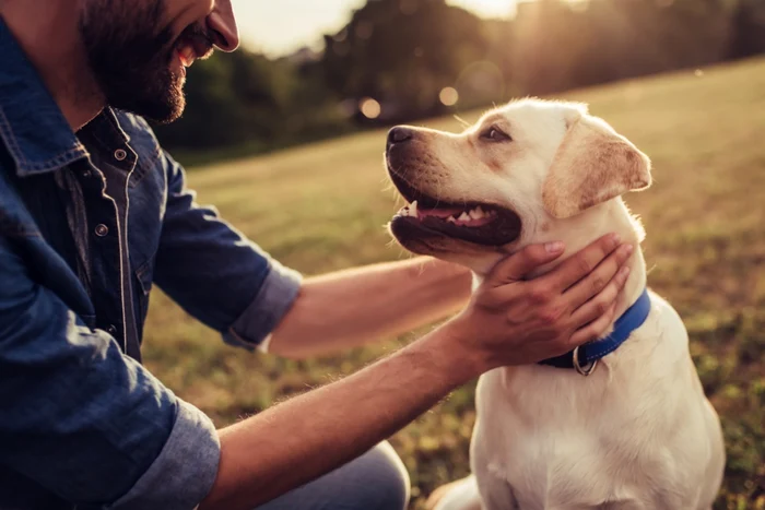 Ani de câine în ani de om. Cum se calculează vârsta animalelor de companie și care este speranța de viață a celor mai iubite rase