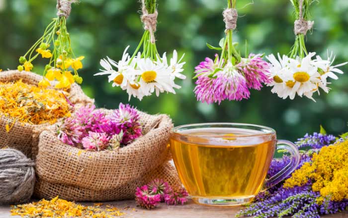 Ceai de rostopască. Pentru ce e bun și ce beneficii are remediul natural