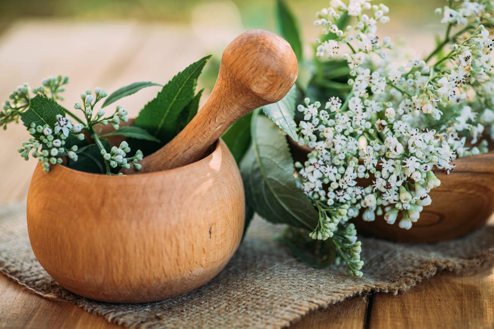 Ce contraindicații are valeriana? Iată cum trebuie consumată!