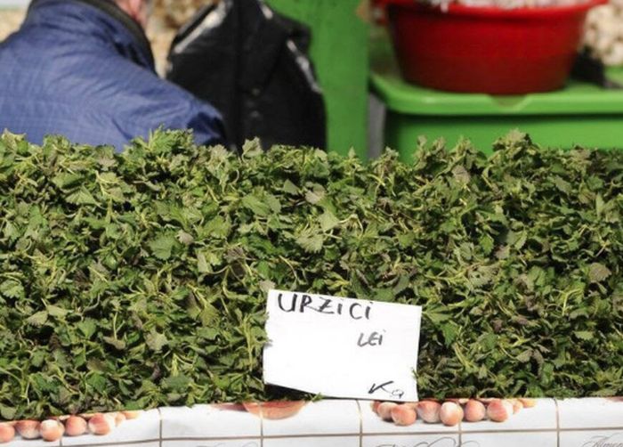 Cât costă un kilogram de urzici: E mai scump decât carnea de porc!