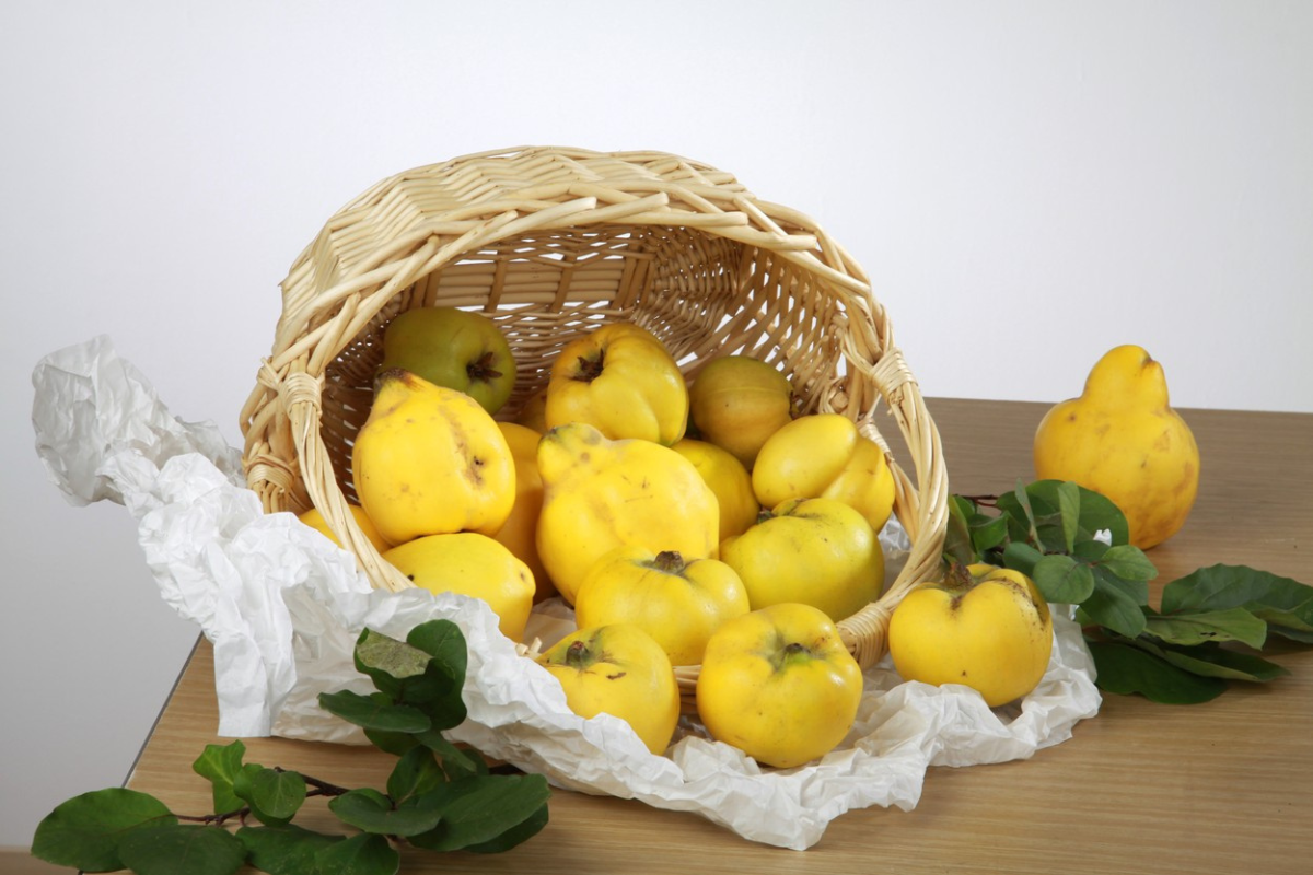 E bine să mănânci gutui seara? Ce se întâmplă în organism atunci când le consumăm