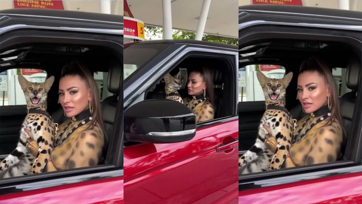 Model PlayBoy, surprinsă în tanga și pictată în leopard! Toată lumea a filmat-o!
