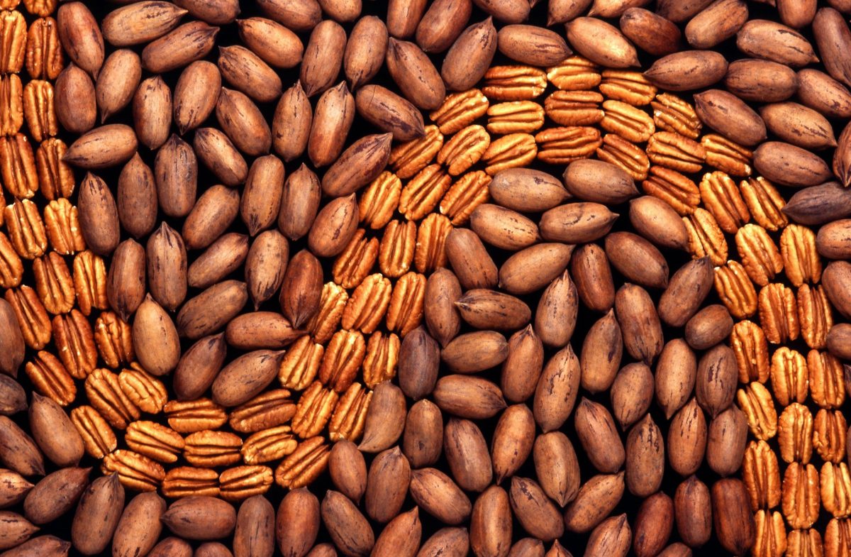 Iată tot ce trebuie să știi despre nucile pecan – Beneficiile și contraindicațiile lor