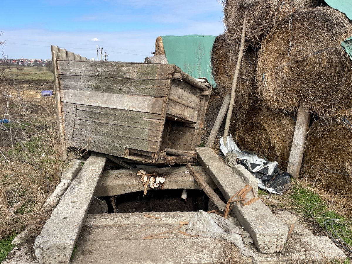 Un nou-născut a supraviețuit ca prin minune la Pașcani, după ce a fost aruncat în WC, chiar de tatăl său! Un mic detaliu i-a salvat viața micuțului