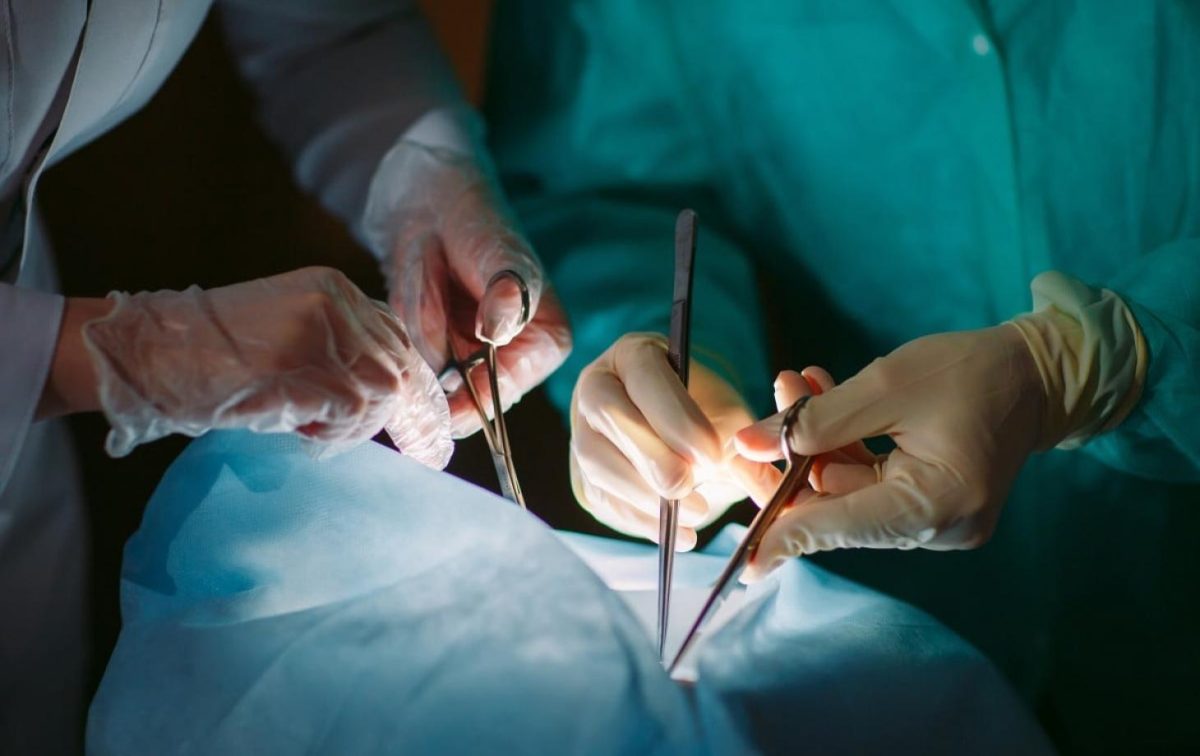 Un ficat de porc a fost transplantat pentru prima dată unui pacient uman