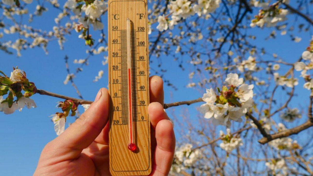 Cum va fi vremea pe 8 martie. România se află sub influența unui anticiclon