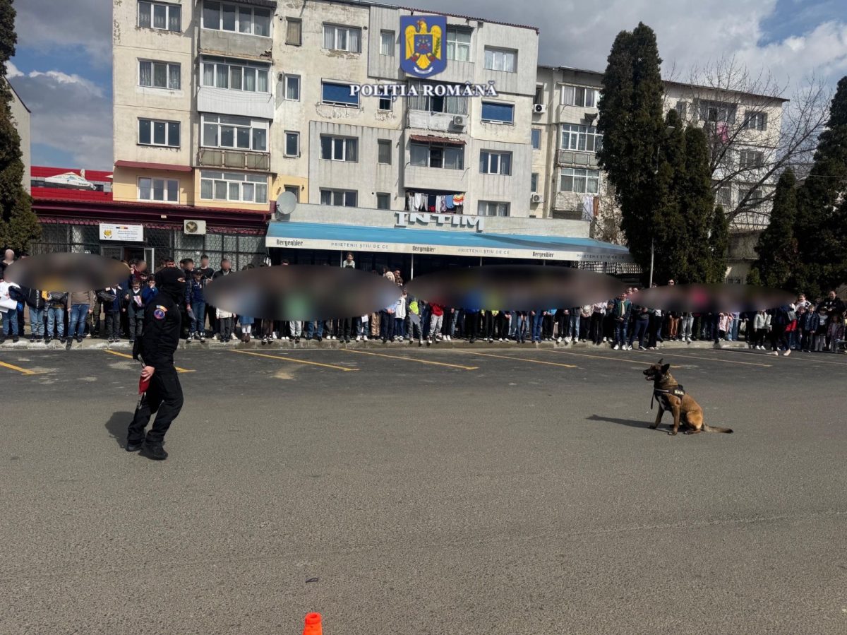 Activități pentru Ziua Poliției, în orașul Hârlău