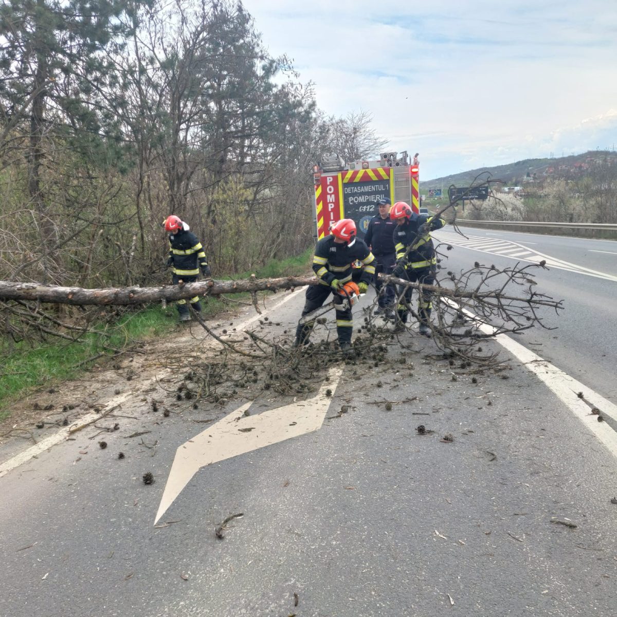 Intervenție a pompierilor în Iași: arbore căzut pe șoseaua Ștefan cel Mare