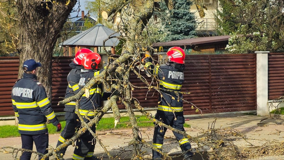Un copac a căzut în municipiul Iași! Pompierii intervin