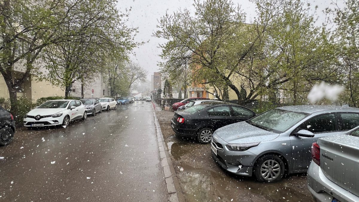 În Iași, va fi construit un centru multifuncțional de asistență socială! Clădirea va avea 8 niveluri și va fi amplasată în zona centrală