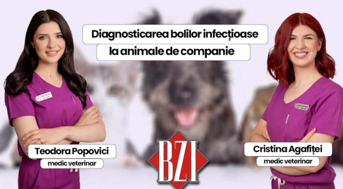 LIVE VIDEO – Diagnosticarea bolilor infecțioase la animale de companie. Teodora Popovici și Cristina Agafiței, medici veterinari, discută despre tratamente la BZI LIVE