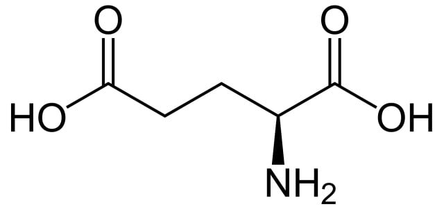 Acidul glutamic – Proprietăți, contraindicații și mod de utilizare
