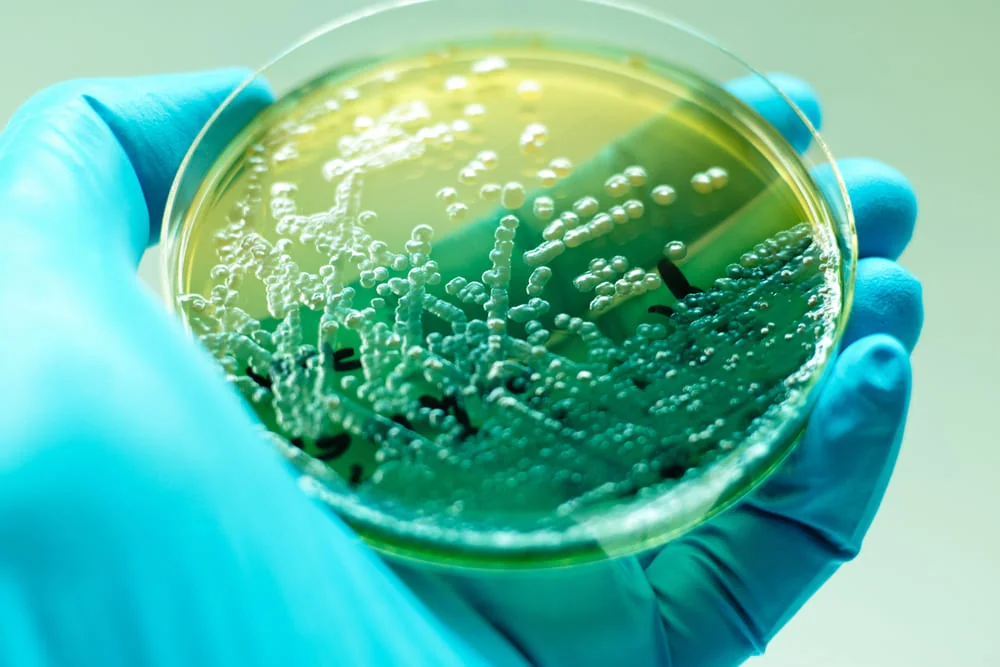 Alertă sanitară! Spitalul de Pediatrie rămâne contaminat cu bacilul Piocianic. Ce măsuri se vor lua