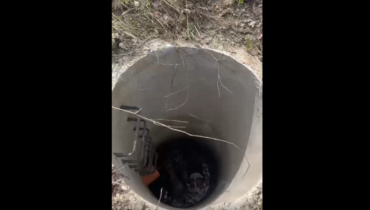 Operațiune de salvare a doi câini dintr-un canal. Pompierii ieșeni intervin