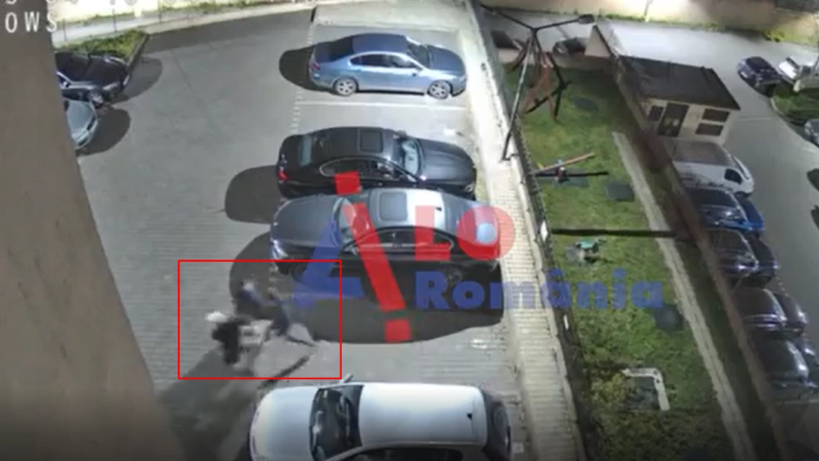 Percheziții la Iași, după ce patru bărbați au prins o căprioară și au băgat-o în portbagaj