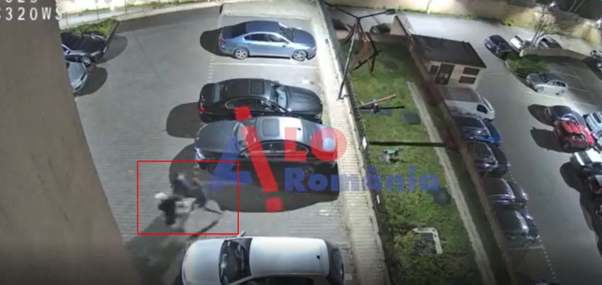 Două căprioare hăituite în Copou. Poliția din Iași s-a autosesizat în urma unor imagini șocante