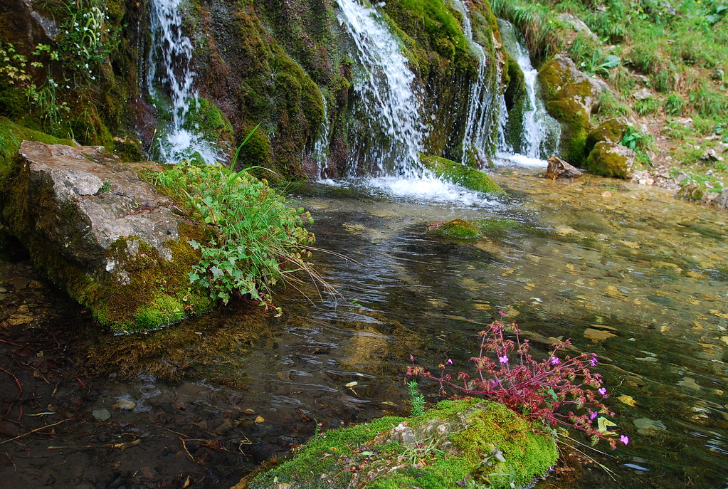 Cascada Izvorul Frumos. Micul Bigăr ascuns în Parcul Național Buila‑Vânturărița