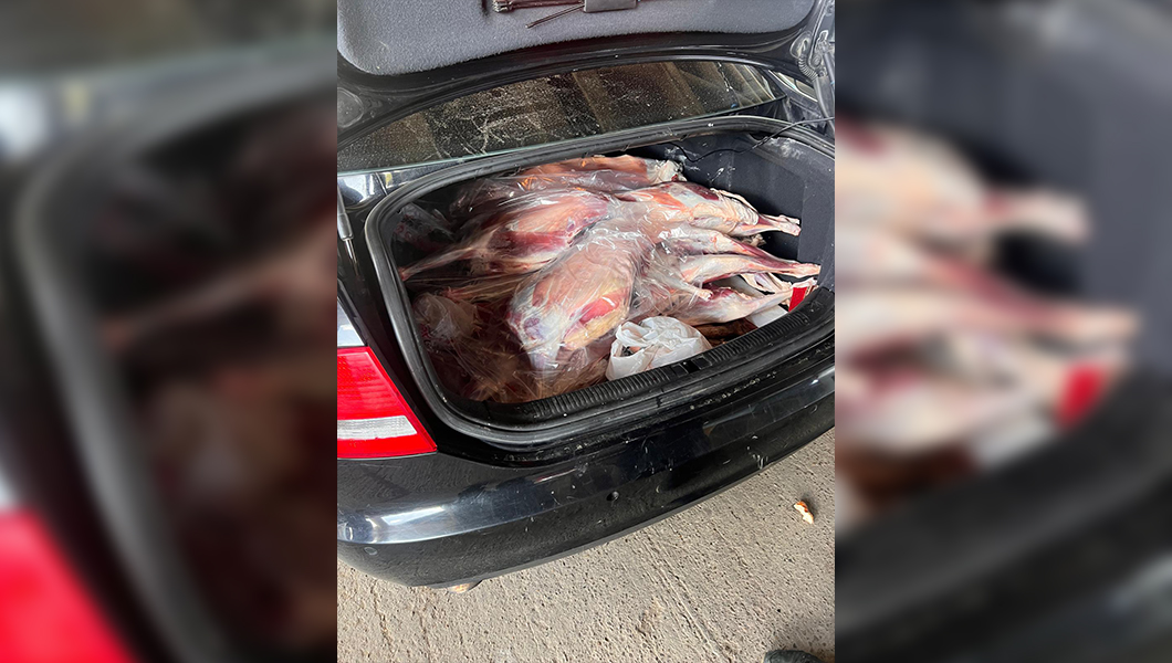 Peste 150 de unități de alimentație, verificate de inspectorii DSVSA Iași. Ce nereguli s-au descoperit