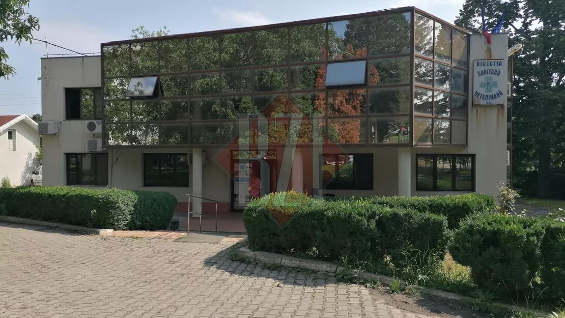 DSVSA Iași: Controale intensificate de Paște 2025. Amenzi de peste 75.000 lei și confiscări de produse alimentare neconforme