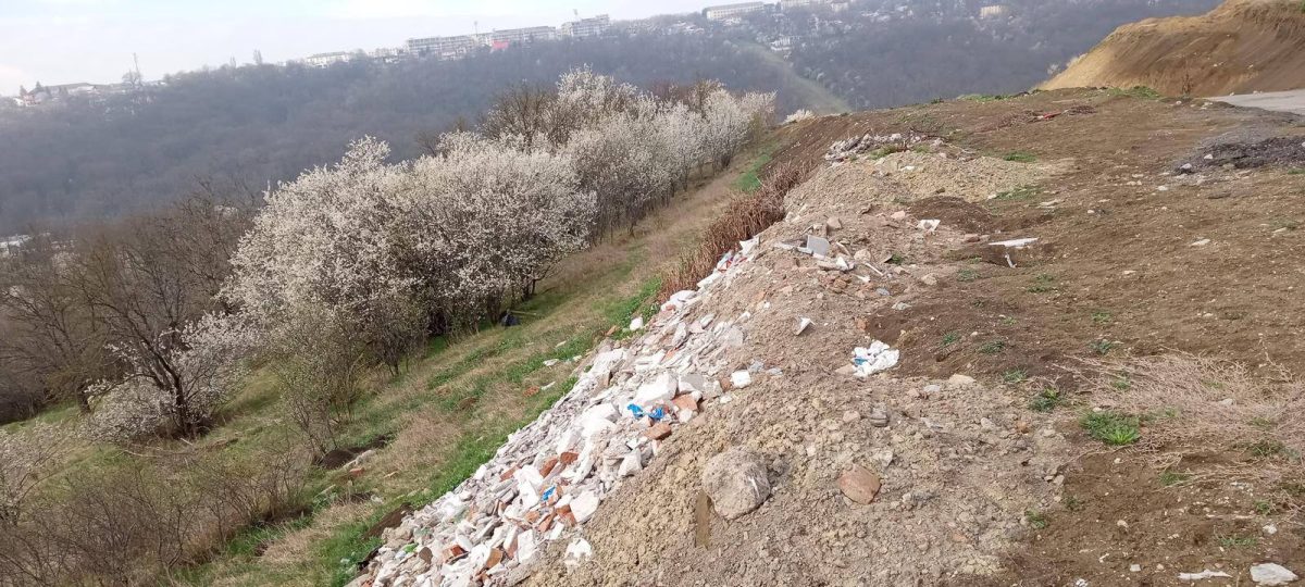 Activitatea Comisariatului Iaşi al Gărzii Naţionale de Mediu în Trimestrul I 2025