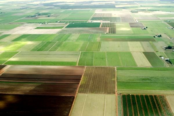 Ce oferte de vânzare a terenurilor agricole sunt la Iași în această perioadă. Prețurile cerute de proprietari au crescut în 2025