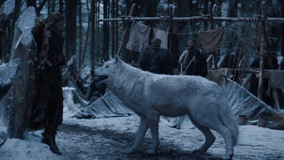 Animalul din Game of Thrones este acum real! Dispărut acum 10.000 de ani, a fost readus la viață