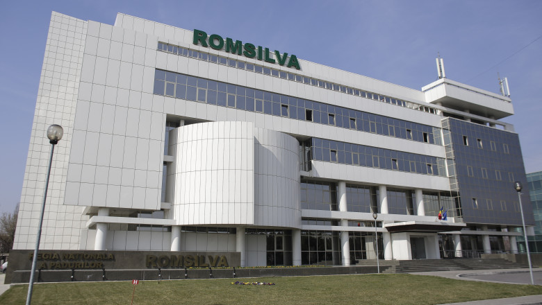 Romsilva declanşează o grevă de avertisment. Se opun planurilor de reorganizare 