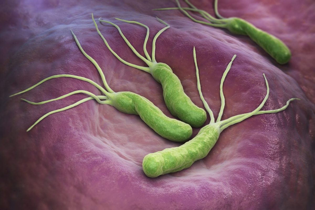 Simptome helicobacter, cum le recunoști? Află care sunt semnele ale unei infecții periculoase!